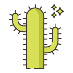 succulent plants and cactus