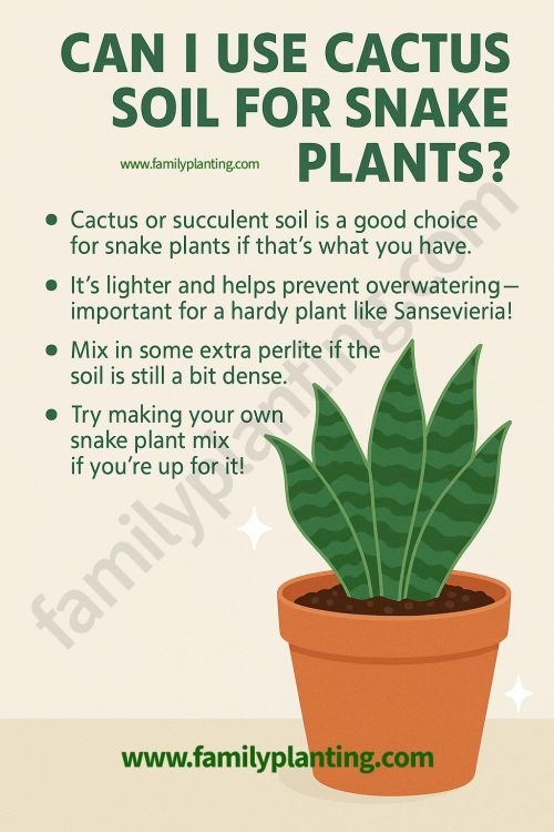 Cactus Soil for Snake Plant: Best Mix & Tips